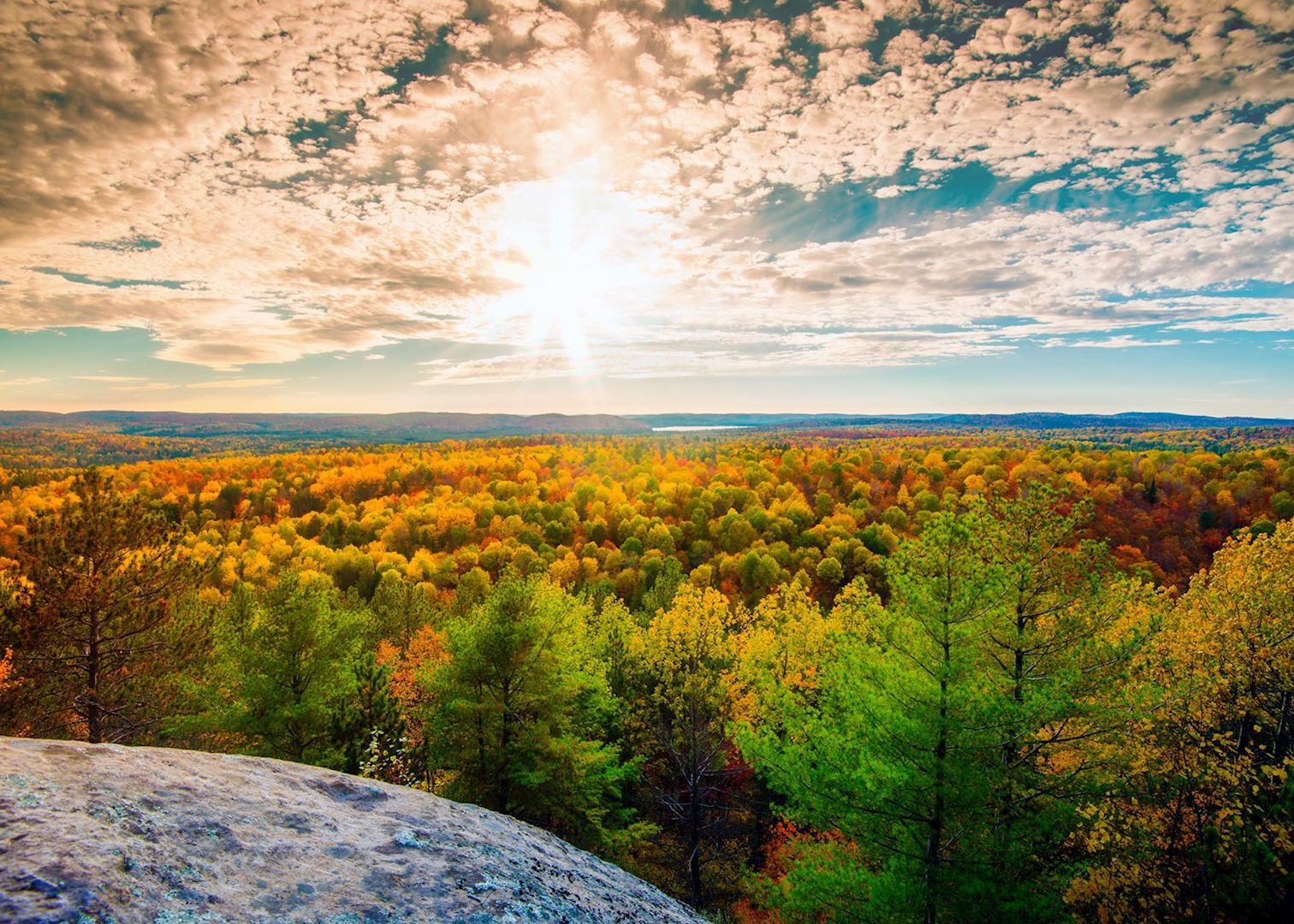 algonquin provincial park